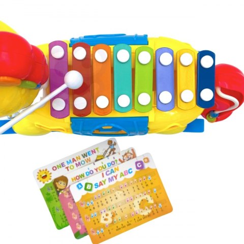 WOOPIE BABY Konik Interaktywny Cymbałki 8w1 WOOPIE BABY Konik Interaktywny Cymbałki 8w1