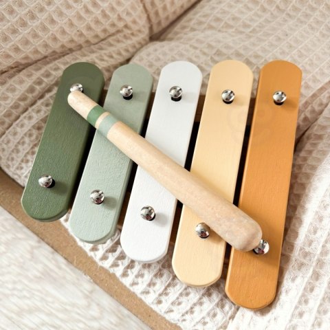 VIGA PolarB Zestaw Instrumentów Muzycznych Zielony VIGA PolarB Zestaw Instrumentów Muzycznych Zielony