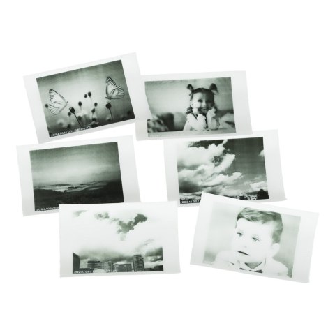 Aparat fotograficzny natychmiastowy drukarka termiczna + wkłady karta 32GB panda Kik Sp. z o. o. Sp. k. Aparat fotograficzny natychmiastowy drukarka termiczna + wkłady karta 32GB panda Kik Sp. z o. o. Sp. k.