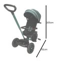 Rowerek trójkołowy TRIKE FIX Elite 2w1 z daszkiem obracany regulowany spacerówka prowadnik pasy zielony Kik Sp. z o. o. Sp. k.