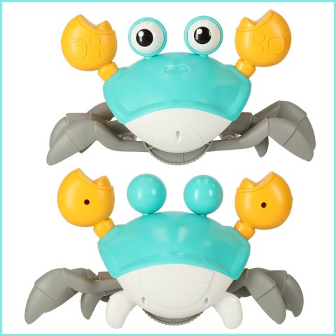 Krab pełzający interaktywny z dźwiękiem zielony Kik Sp. z o. o. Sp. k. Krab pełzający interaktywny z dźwiękiem zielony Kik Sp. z o. o. Sp. k.