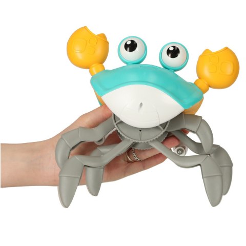 Krab pełzający interaktywny z dźwiękiem zielony Kik Sp. z o. o. Sp. k. Krab pełzający interaktywny z dźwiękiem zielony Kik Sp. z o. o. Sp. k.