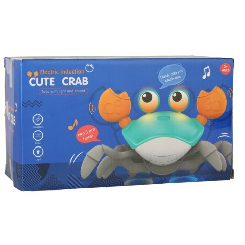 Krab pełzający interaktywny z dźwiękiem zielony Kik Sp. z o. o. Sp. k. Krab pełzający interaktywny z dźwiękiem zielony Kik Sp. z o. o. Sp. k.