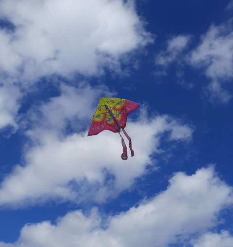 Latawiec duży 90cm motyl fioletowy Kik Sp. z o. o. Sp. k.