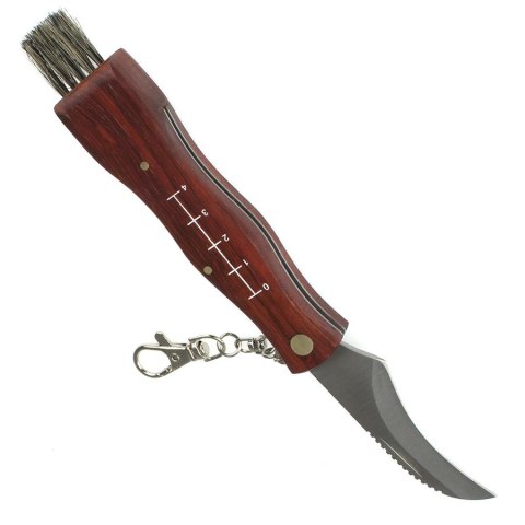 Nóż scyzoryk do zbierania grzybów z pokrowcem etui Kik Sp. z o. o. Sp. k. Nóż scyzoryk do zbierania grzybów z pokrowcem etui Kik Sp. z o. o. Sp. k.