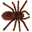 Pająk TARANTULA Zdalnie Sterowany robot na pilota + PILOT Kik Sp. z o. o. Sp. k.
