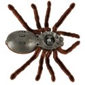 Pająk TARANTULA Zdalnie Sterowany robot na pilota + PILOT Kik Sp. z o. o. Sp. k.