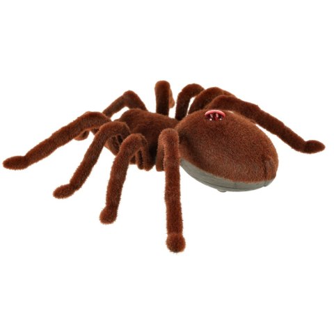 Pająk TARANTULA Zdalnie Sterowany robot na pilota + PILOT Kik Sp. z o. o. Sp. k. Pająk TARANTULA Zdalnie Sterowany robot na pilota + PILOT Kik Sp. z o. o. Sp. k.