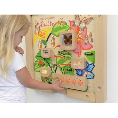 Masterkidz MASTERKIDZ Tablica Edukacyjna Ścienna Cykl Życia Motylka Masterkidz MASTERKIDZ Tablica Edukacyjna Ścienna Cykl Życia Motylka