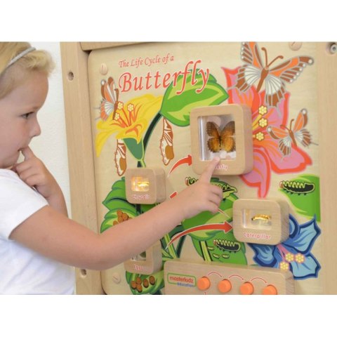 Masterkidz MASTERKIDZ Tablica Edukacyjna Ścienna Cykl Życia Motylka Masterkidz MASTERKIDZ Tablica Edukacyjna Ścienna Cykl Życia Motylka