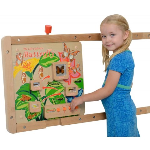 Masterkidz MASTERKIDZ Tablica Edukacyjna Ścienna Cykl Życia Motylka Masterkidz MASTERKIDZ Tablica Edukacyjna Ścienna Cykl Życia Motylka