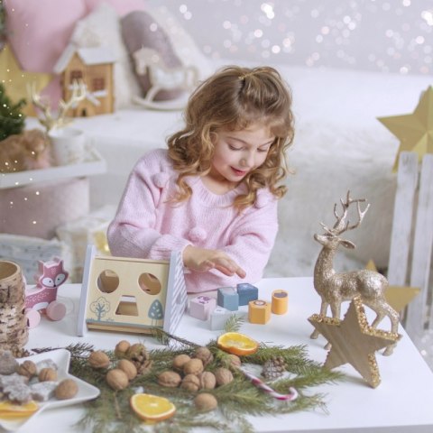 Viga Toys VIGA PolarB Drewniany sorter z klockami piramida Układanka Viga Toys VIGA PolarB Drewniany sorter z klockami piramida Układanka