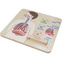Masterkidz MASTERKIDZ Tablica Edukacyjna Układ Oddechowy Montessori