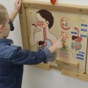 Masterkidz MASTERKIDZ Tablica Edukacyjna Układ Trawienny Montessori