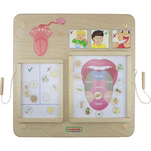 Masterkidz MASTERKIDZ Tablica Edukacyjna Zmysł Smaku Montessori Masterkidz MASTERKIDZ Tablica Edukacyjna Zmysł Smaku Montessori