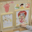 Masterkidz MASTERKIDZ Tablica Edukacyjna Zmysł Smaku Montessori