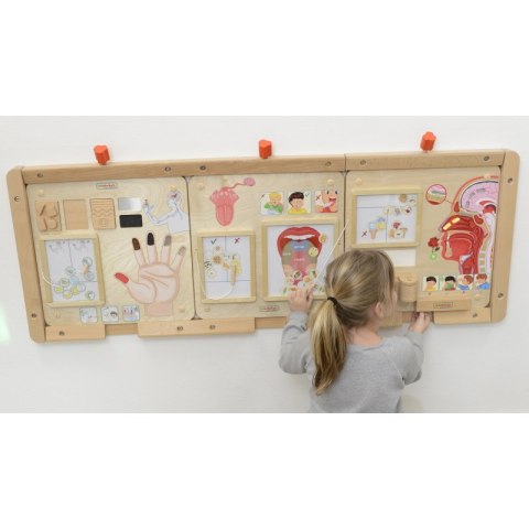 Masterkidz MASTERKIDZ Tablica Edukacyjna Zmysł Smaku Montessori Masterkidz MASTERKIDZ Tablica Edukacyjna Zmysł Smaku Montessori