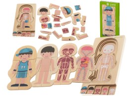 Puzzle drewniane warstwowe budowa ciała montessori chłopiec Kik Sp. z o. o. Sp. k.