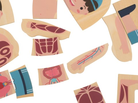 Puzzle drewniane warstwowe budowa ciała montessori chłopiec Kik Sp. z o. o. Sp. k.