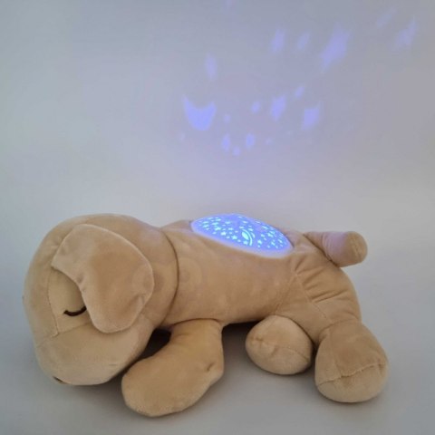 WOOPIE Przytulanka Projektor 2w1 Usypiacz Piesek WOOPIE Przytulanka Projektor 2w1 Usypiacz Piesek