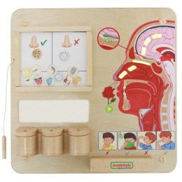 Masterkidz MASTERKIDZ Tablica Edukacyjna Zmysł Węchu Montessori