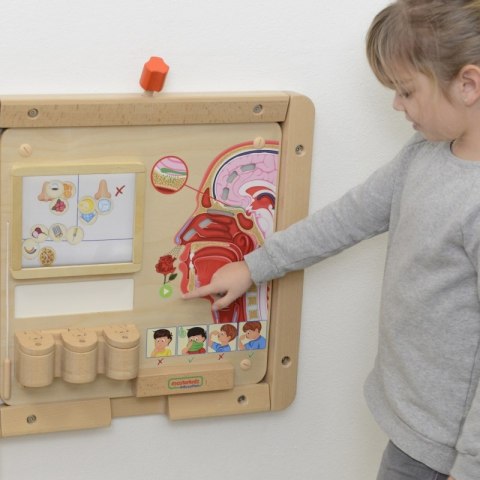 Masterkidz MASTERKIDZ Tablica Edukacyjna Zmysł Węchu Montessori Masterkidz MASTERKIDZ Tablica Edukacyjna Zmysł Węchu Montessori