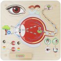Masterkidz MASTERKIDZ Tablica Edukacyjna Zmysł Wzroku Montessori