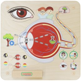 Masterkidz MASTERKIDZ Tablica Edukacyjna Zmysł Wzroku Montessori