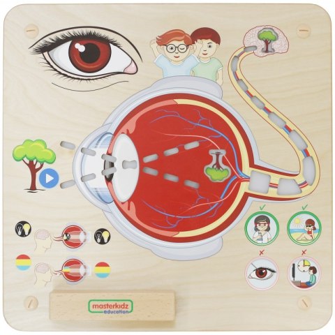 Masterkidz MASTERKIDZ Tablica Edukacyjna Zmysł Wzroku Montessori Masterkidz MASTERKIDZ Tablica Edukacyjna Zmysł Wzroku Montessori