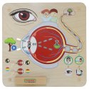 Masterkidz MASTERKIDZ Tablica Edukacyjna Zmysł Wzroku Montessori