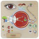 Masterkidz MASTERKIDZ Tablica Edukacyjna Zmysł Wzroku Montessori