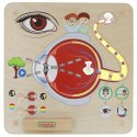 Masterkidz MASTERKIDZ Tablica Edukacyjna Zmysł Wzroku Montessori