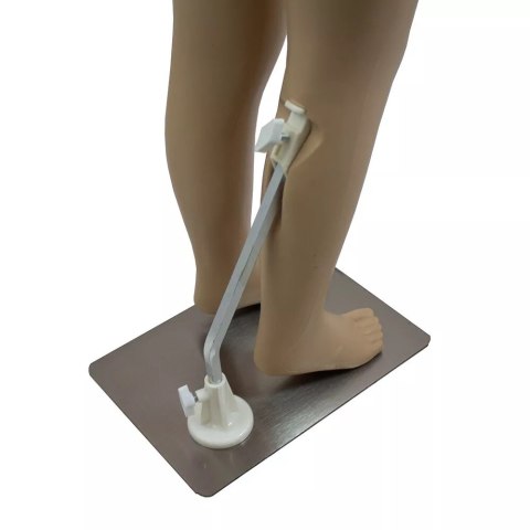Bituxx Manekin Wystawowy Dziecięcy Dziewczynka 140 cm z Ruchomymi Rękami i Głową Bituxx Manekin Wystawowy Dziecięcy Dziewczynka 140 cm z Ruchomymi Rękami i Głową