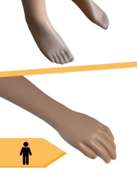 E-hurtownia Manekin męski 190 cm pełnopostaciowy realistyczny lekki demontowalny E-hurtownia Manekin męski 190 cm pełnopostaciowy realistyczny lekki demontowalny