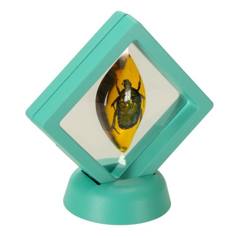 Wykopaliska skamieliny owadów bursztynów zestaw archeologiczny mały archeolog bursztyn Kik Sp. z o. o. Sp. k.