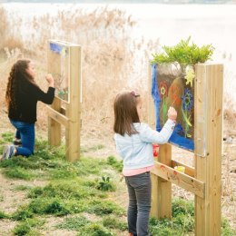 Classic World EDU CLASSIC WORLD EDU Zestaw Doświadczalny Edukacyjny do Hodowli Owadów i Zwierząt