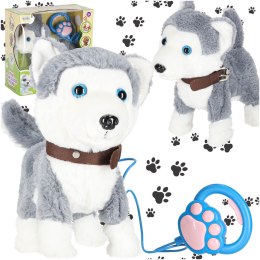 Piesek interaktywny na smyczy szczeka chodzi rusza ogonem Husky Kik Sp. z o. o. Sp. k.