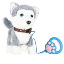 Piesek interaktywny na smyczy szczeka chodzi rusza ogonem Husky Kik Sp. z o. o. Sp. k.