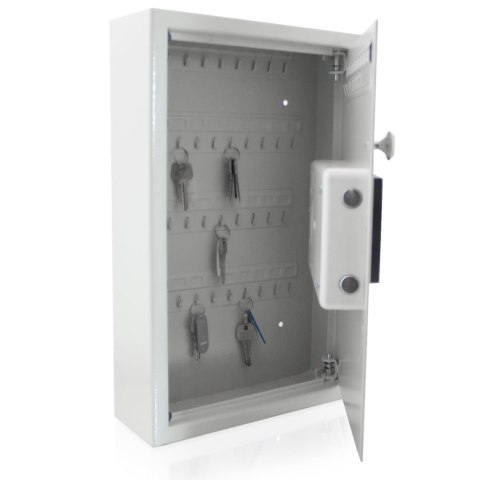 Bituxx Sejf Elektroniczny na Klucze 48 Haków Zamek PIN + Klucze Awaryjne Ścienny