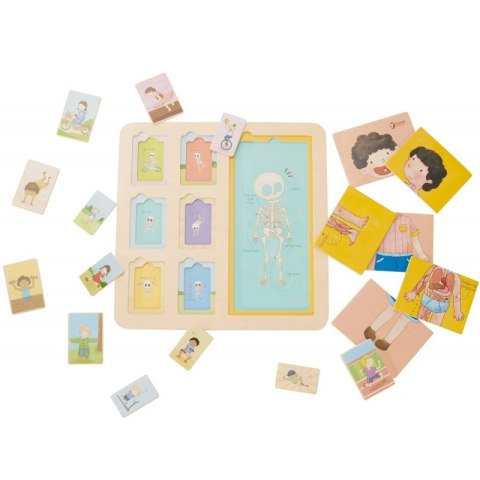 CLASSIC WORLD Tablica Edukacyjna Ciało Ludzkie Układanka Klocki Puzzle dla Dzieci Dopasuj MONTESSORI 19 el. CLASSIC WORLD Tablica Edukacyjna Ciało Ludzkie Układanka Klocki Puzzle dla Dzieci Dopasuj MONTESSORI 19 el.