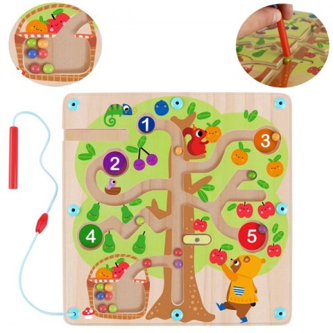 TOOKY TOY Labirynt Drzewko Owocowe Magnetyczne Nauka Liczenia TOOKY TOY Labirynt Drzewko Owocowe Magnetyczne Nauka Liczenia